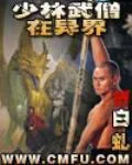 《少林武僧在异界》小说封面