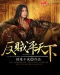 《反贼平天下》小说封面