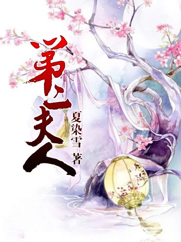 《第二夫人》小说封面