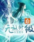 《无敌升级》小说封面