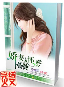 《娇妻入怀》小说封面