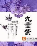 《九重紫》小说封面