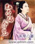 《红杏泄春光》小说封面