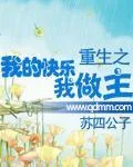 《重生之我的快乐我做主》小说封面