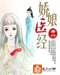 《医锦还厢》小说封面