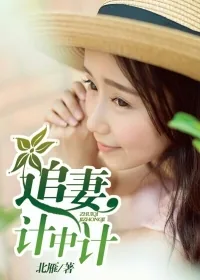 《追妻计中计》小说封面