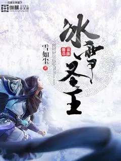 《冰雪圣王》小说封面