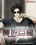 《兼职巨星》小说封面