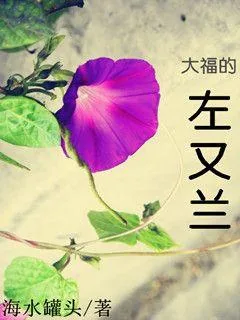 《大福的左又兰》小说封面