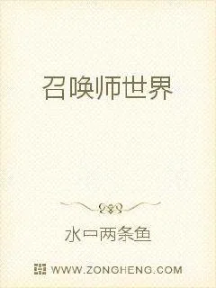 《召唤师世界》小说封面