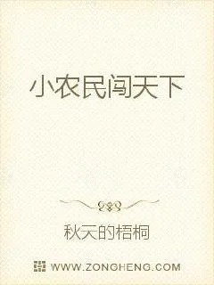 《小农民闯天下》小说封面