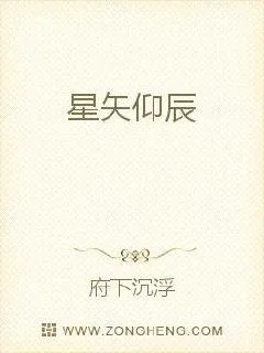 《星矢仰辰》小说封面