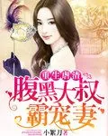 《重生虐渣：腹黑大叔霸宠妻》小说封面