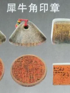 《寻宝情缘》小说封面