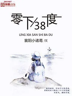 《零下38度》小说封面
