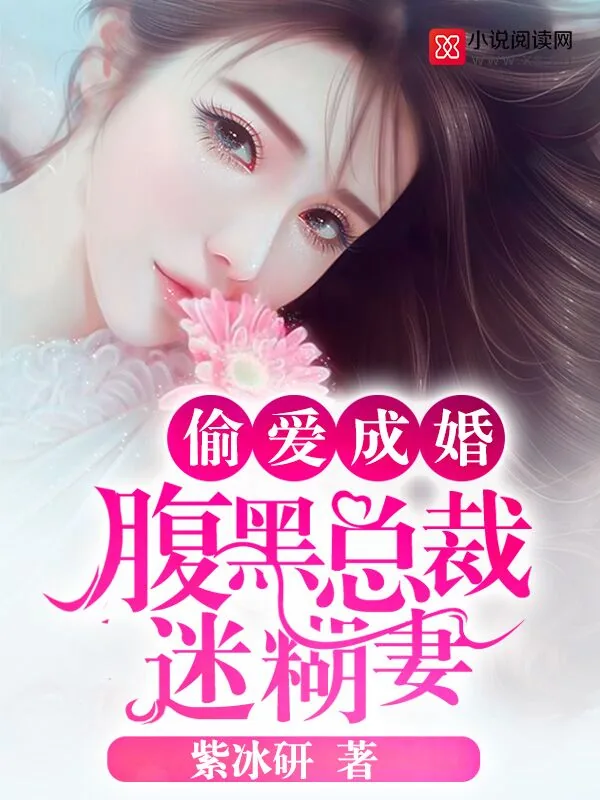 《偷爱成婚：腹黑总裁迷糊妻》小说封面