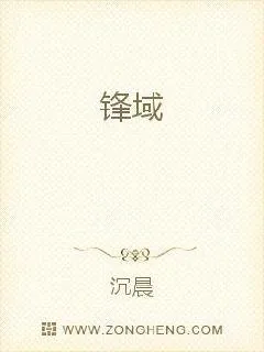 《锋域》小说封面