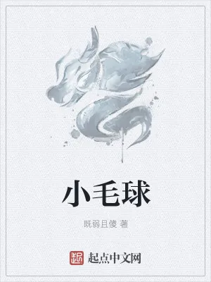 《小毛球》小说封面