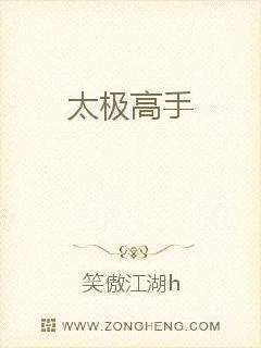 《太极高手》小说封面