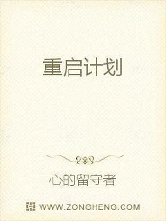 《重启计划》小说封面