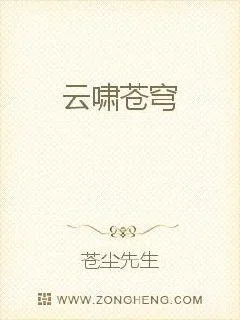 《云啸苍穹》小说封面