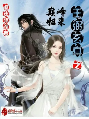 《王弼玄真之巅峰归来》小说封面