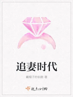 《追妻时代》小说封面