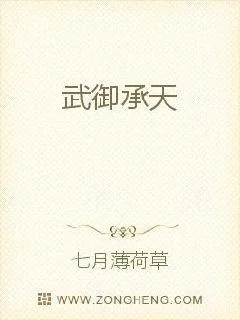 《武御承天》小说封面