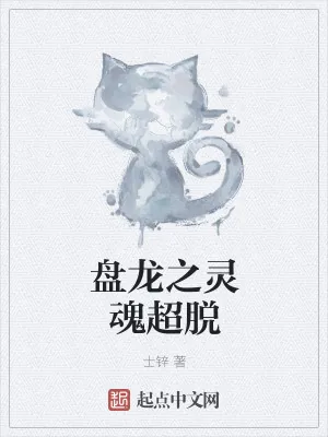《盘龙之灵魂超脱》小说封面