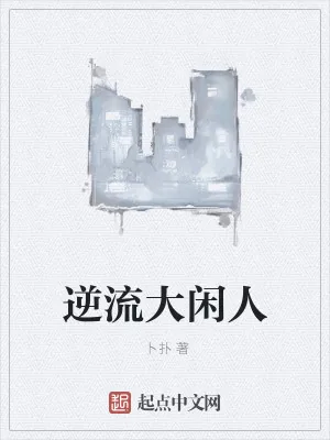 《逆流大闲人》小说封面