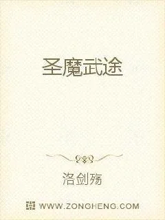 《圣魔武途》小说封面
