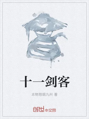 《十一剑客》小说封面