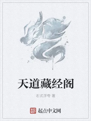 《天道藏经阁》小说封面