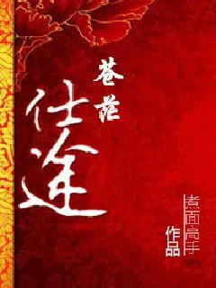 《苍茫仕途》小说封面