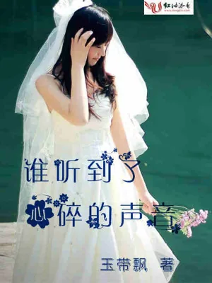 《谁听到了心碎的声音》小说封面