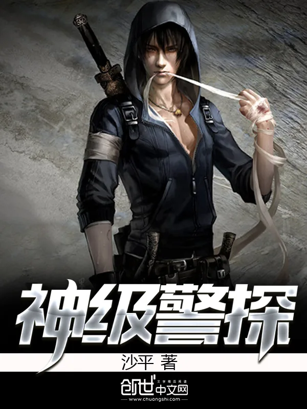 《神级警探》小说封面