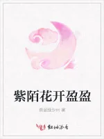 《紫陌花开盈盈》小说封面