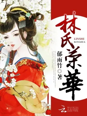 《林氏荣华》小说封面