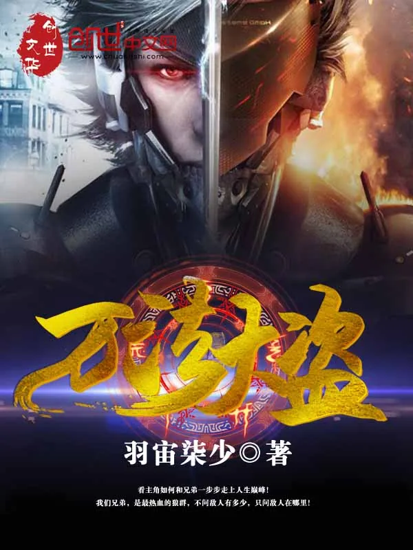 《万法大盗》小说封面