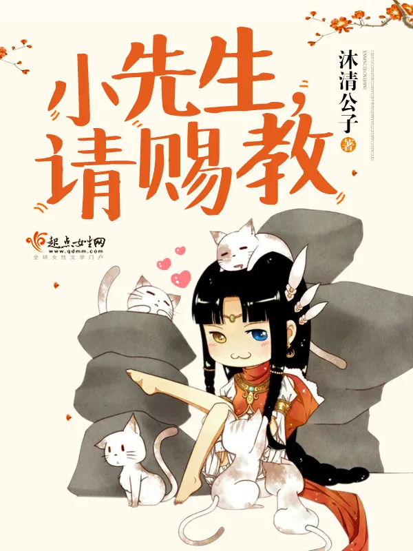 《小先生请赐教》小说封面
