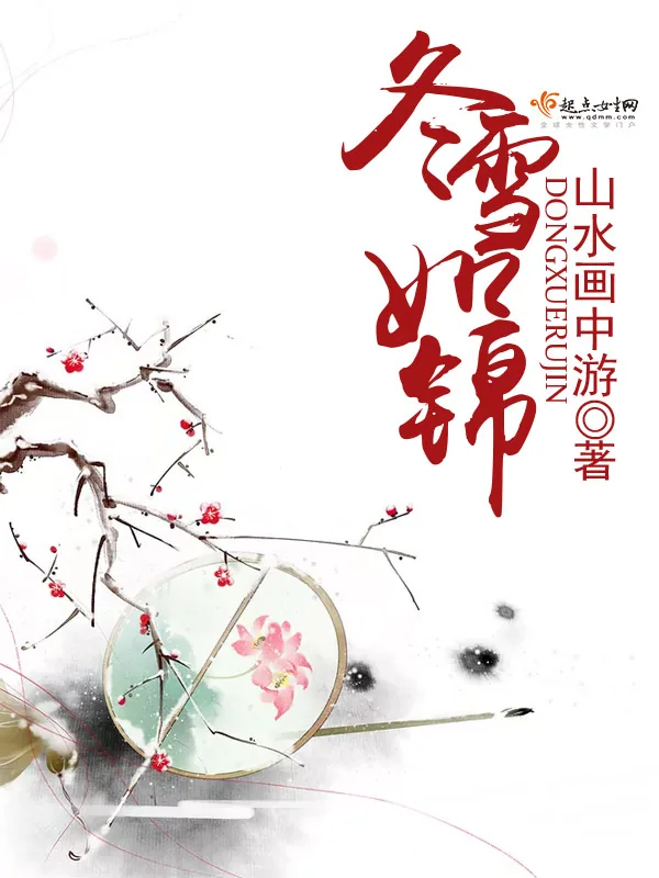 《冬雪如锦》小说封面