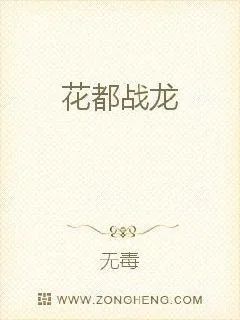 《花都战龙》小说封面