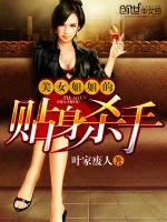 《美女姐姐的贴身杀手》小说封面