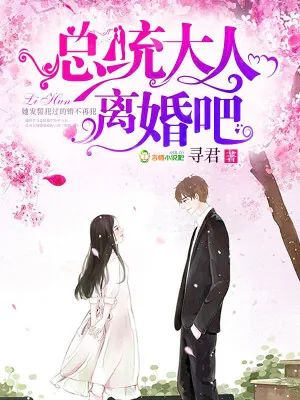 《总统大人，离婚吧！》小说封面
