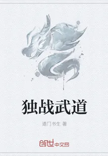 《独战武道》小说封面