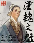 《汉魏文魁》小说封面
