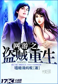 《网游之盗贼重生》小说封面
