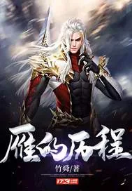 《雁的历程》小说封面