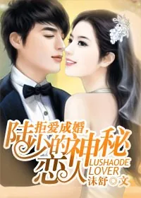 《拒爱成婚，陆少的神秘恋人》小说封面