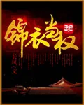 《锦衣当权》小说封面